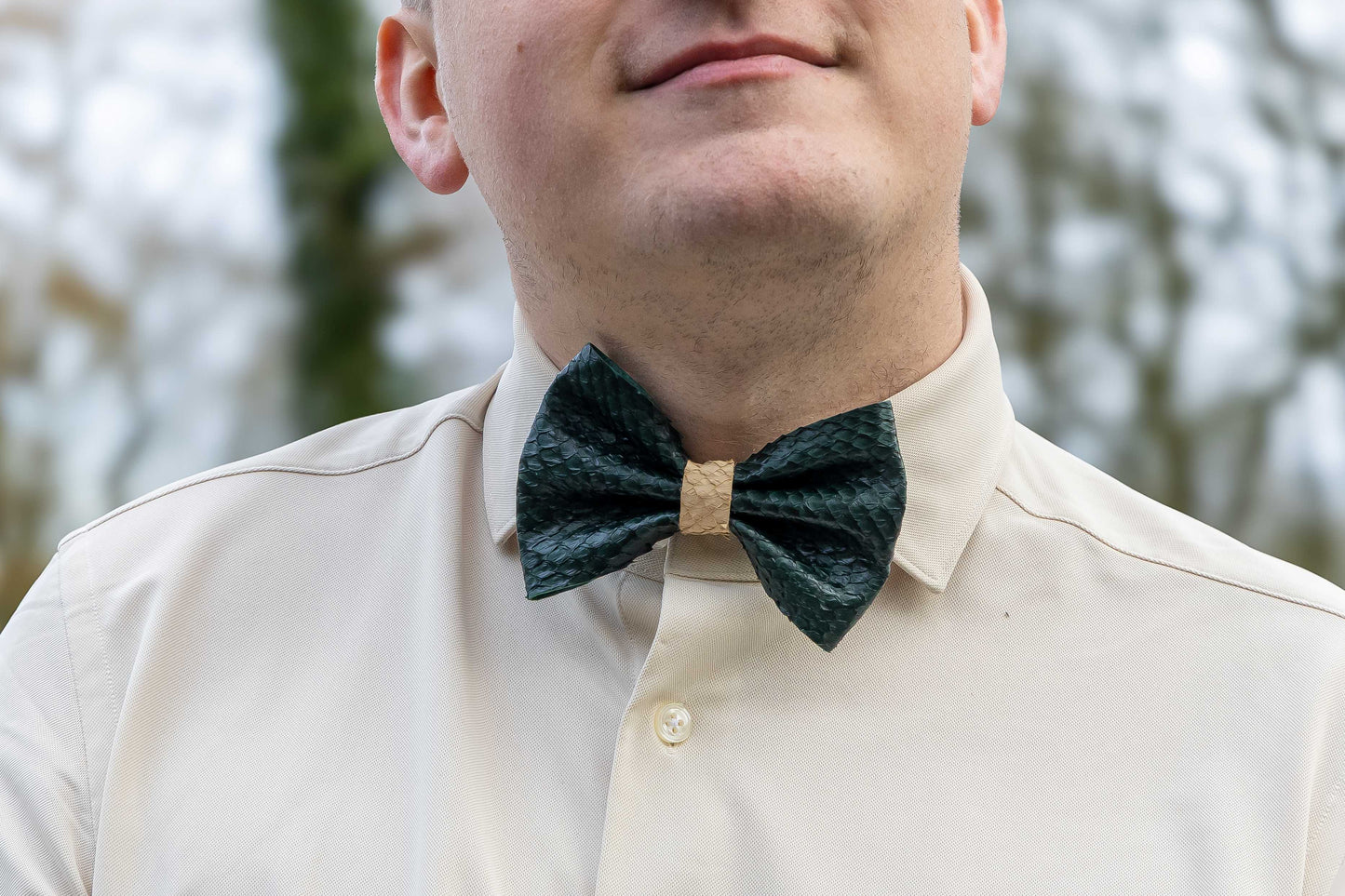 Bow tie