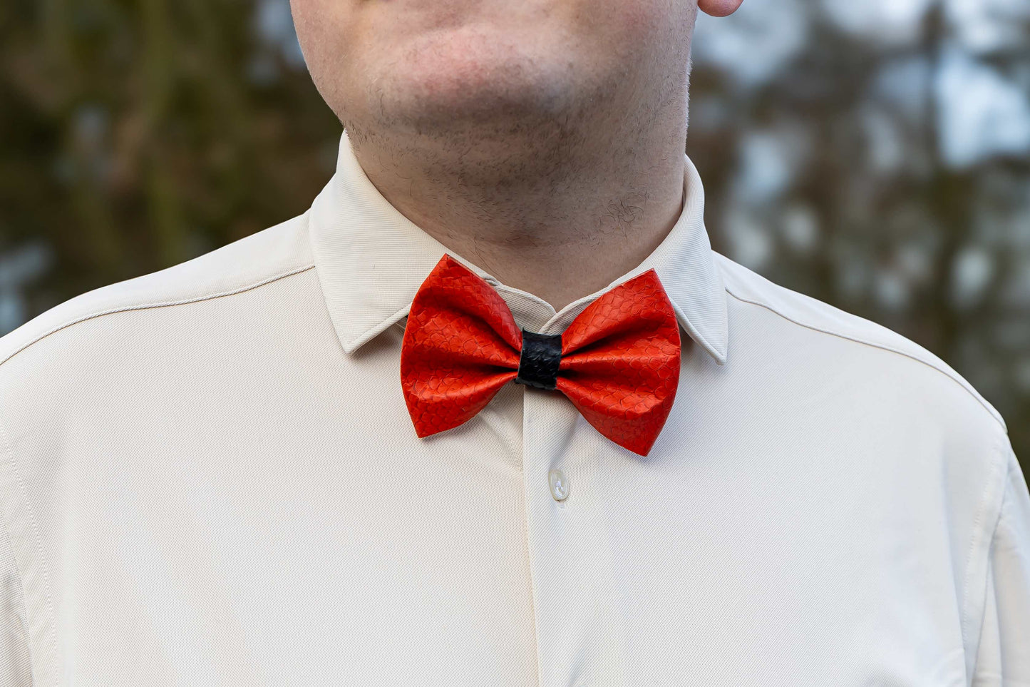 Bow tie