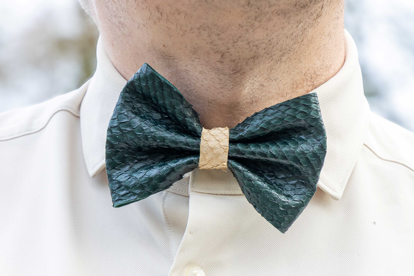 Bow tie