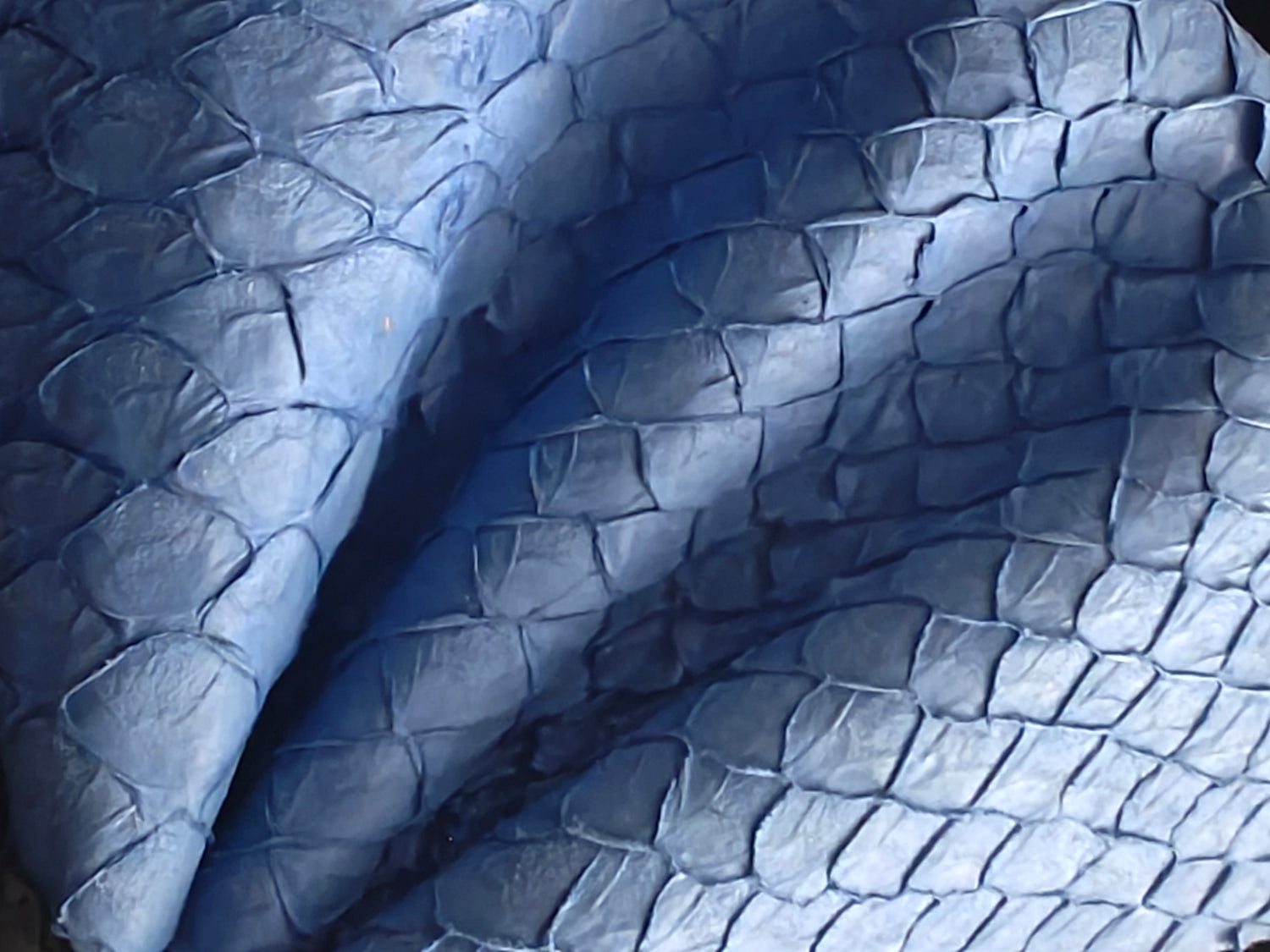 Zoom sur la texture du cuir de poisson couleur bleue indigo